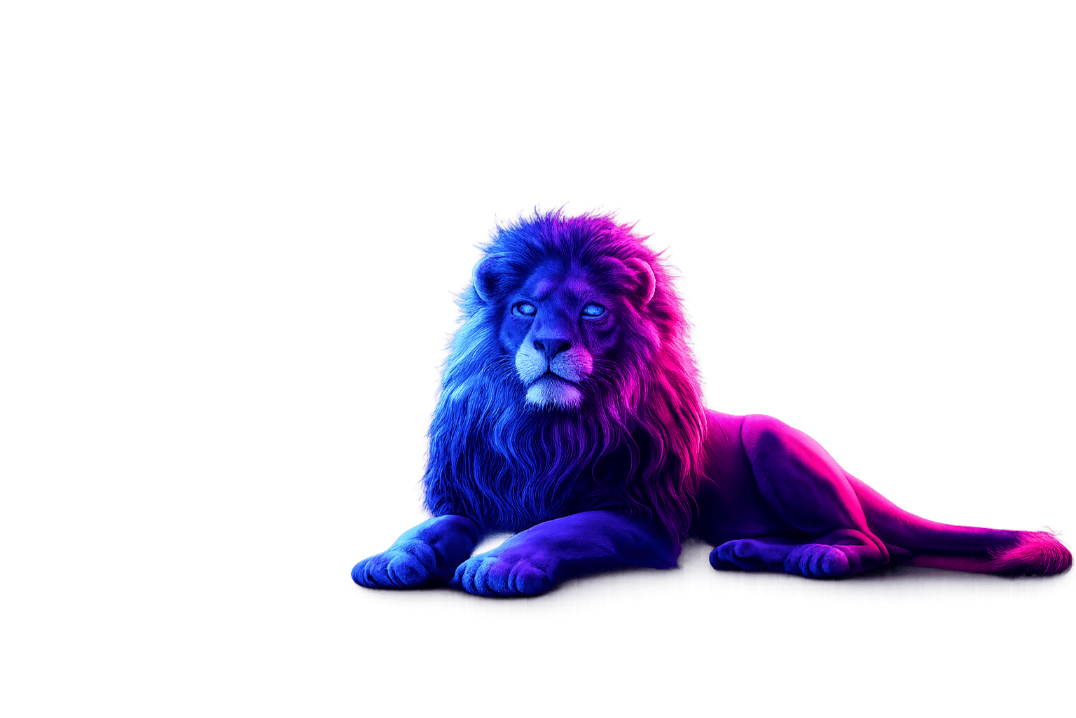 Unavoidable Marketing digital marketing agency Leeds